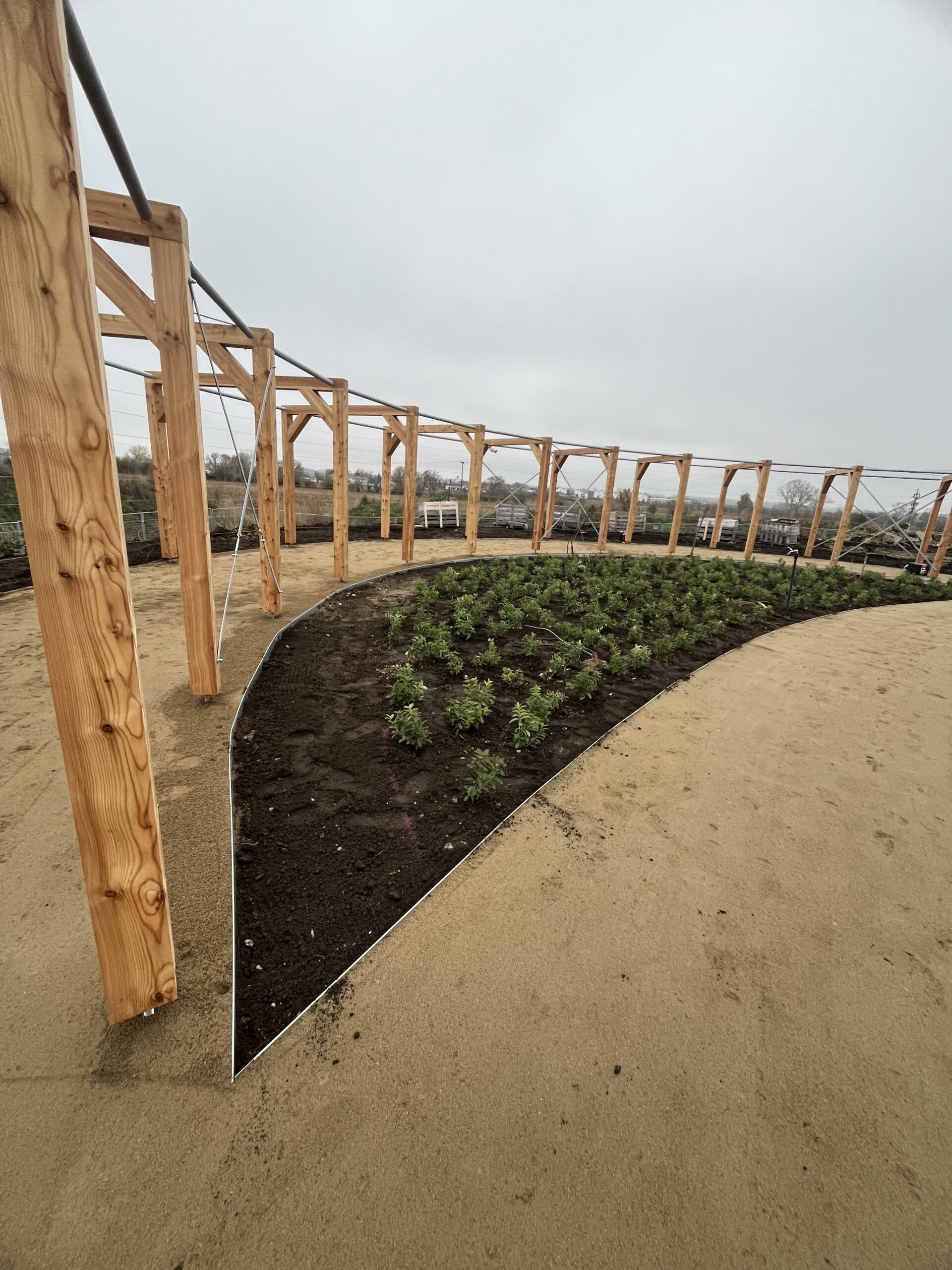 Design & Build (D&B)